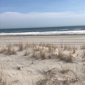 Meet your Posher, Scott